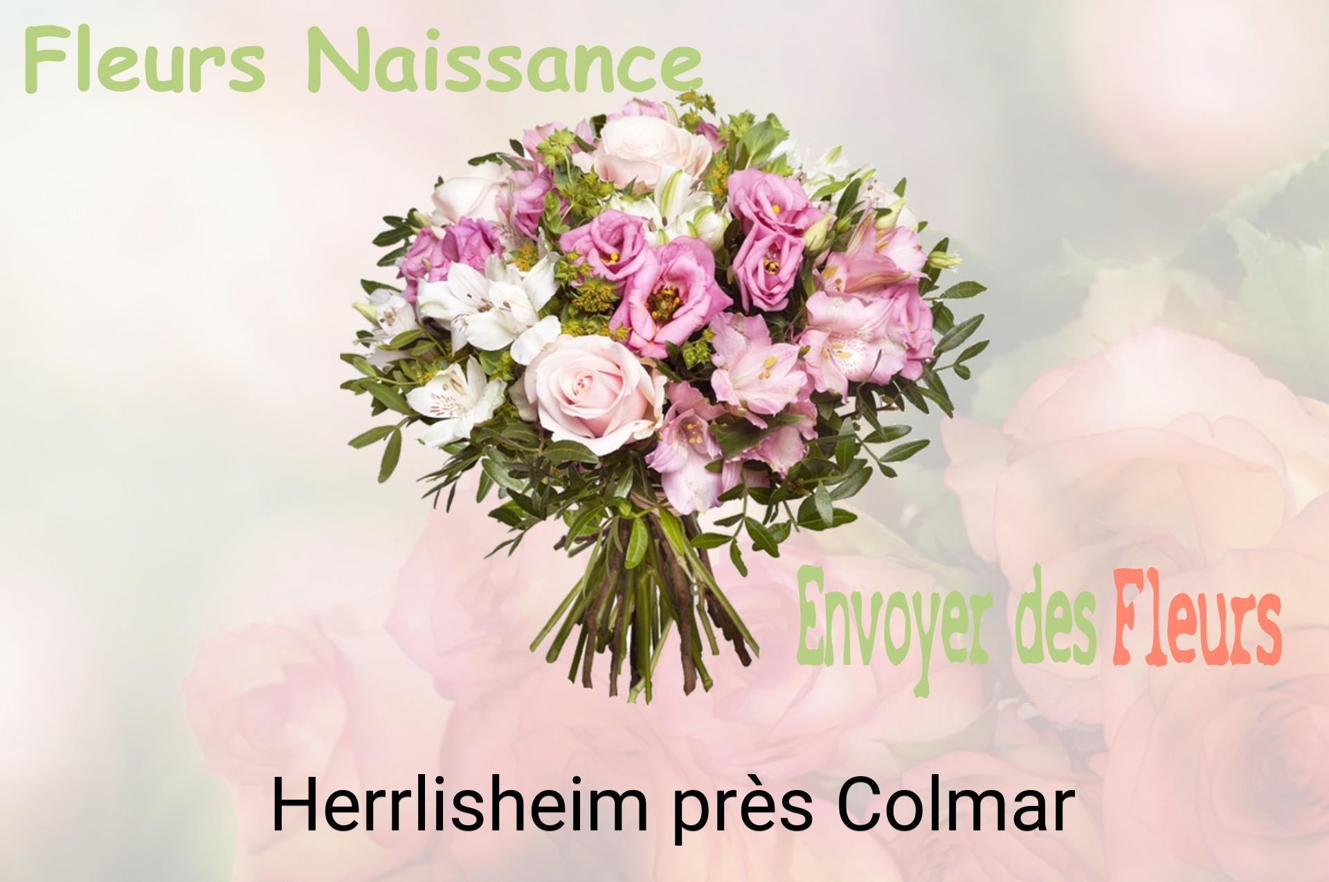Bouquet de fleurs de naissance livré à Herrlisheim-près-Colmar